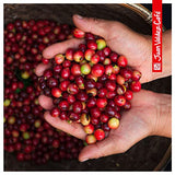 Juan Valdez Coffee Espresso Volcan Bean Colombian Coffee 16 oz / 454 gr