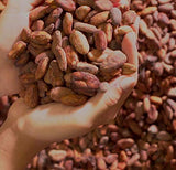 Cortes Instant Chocolate - Made in Puerto Rico by Cortes Hermanos - 12 oz Bag