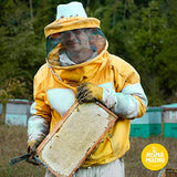 Reina Madre - Orange Blossom Honey, 100% natural, Raw and Unfiltered | Non GMO & Gluten Free, 17.6 oz