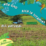 Soldanza Plantain Chips, Variety Pack 2.5 oz (Pack of 12) 4 x Salted Plantain Chips, 4 x Ripe Plantain Chips, 4 x Garlic Plantain Chips