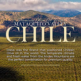 Extra Virgin Chilean Olive Oil by Olave |Premium Blend - First Cold Press, 33.8 Fl Oz (1000 Ml)