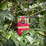 Cafe Quindio Gift SETS, the Coffee from the Heart of Colombia (Barranquero)