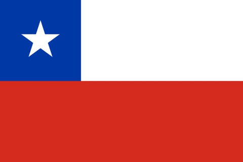 More Chilean Products