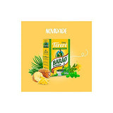 Barão de Cotegipe Yerba Mate - Erva Mate Chimarrão Abacaxi Menta - Tereré Iced Tea Fruity Flavors 17.6Oz 500g (Pineapple Mint, Pack of 1)