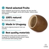 Cebala | Premium yerba mate cup (Mate gourd set) - Mate porongo uruguay - Includes nickel silver bombilla straw and calabash mate cup