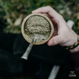 Cebala | Premium yerba mate cup (Mate gourd set) - Mate porongo uruguay - Includes nickel silver bombilla straw and calabash mate cup