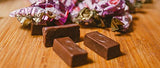 Gallito Guayabita Chocolates, 8.5 Oz - 2 Pack