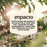 Impacto coffee -100% pure arabica medium roast ground coffee - 1 bag of 14.10 ounce