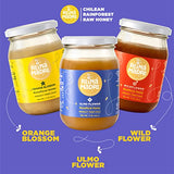 Reina Madre - Ulmo Honey 100% natural, raw and unfiltered, quality Chilean honey | Non GMO & Gluten Free, 17.6 oz