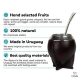 CEBALA | Premium yerba mate cup (Mate gourd set) - Uruguayan mate - Includes alpaca bombilla straw (nickel silver) and leather mate cup (torpedo mate)