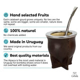 Cebala | Premium yerba mate cup (Mate gourd set) - Uruguayan mate - Includes alpaca bombilla straw (nickel silver) and leather mate cup (camionero mate) (Dark brown)