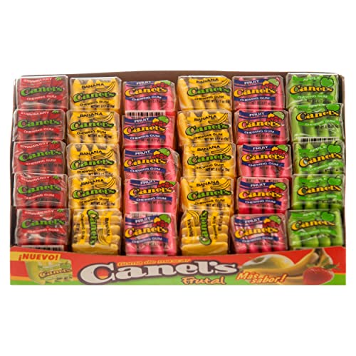 Canel's Goma de Mascar Assorted Fruit Flavor Mexican Chewing Gum (60 x 0.17 oz. Packs)