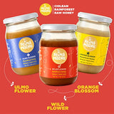 Reina Madre - Wildflower, Raw And Unfiltered Honey 100% Natural | Non GMO & Gluten Free, 17.6 oz