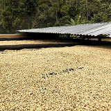 Cafe Quindio Traditional Dark Roast Ground Coffee. The Coffee from The Heart of Colombia, 100% Colombian Arabica Coffee, Artisanal Cultivation Single Estate Coffee. (500g/17.6 oz)