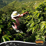 Yaucono Ground Coffee Bagged, 14 Ounce (Pack of 6)